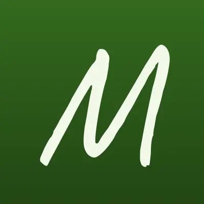 Метеорит, кафе, лого-визитка